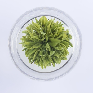 【黄山绿牡丹茶】黄山绿牡丹茶品牌,价格 - 阿里巴巴