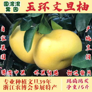 精品15斤玉环文旦柚子中果台州当季新鲜水果楚门特产蜜柚包邮