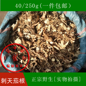 云南野生刺天茄根苦天茄根苦颠茄根黄果茄根
