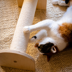 掬涵 猫抓板磨爪器实木猫抓柱耐磨不掉屑猫咪用品猫爬架宠物用品