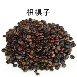 中药材 枳椇子 枳棋子 解酒 枳具子材 枳苴子 500克包邮