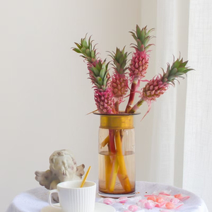 进口迷你小菠萝凤梨鲜花鲜切花水养瓶插生日礼物花店网红可做干花
