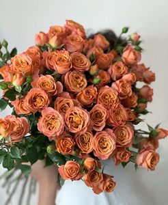 新品多头玫瑰橙铃铛泡泡 水养鲜切花高级复古橙粉色花瓣卷心开放