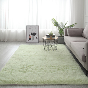 地毯卧室少女客厅绿色地板垫榻榻米房间床边毯床下垫子地垫家用
