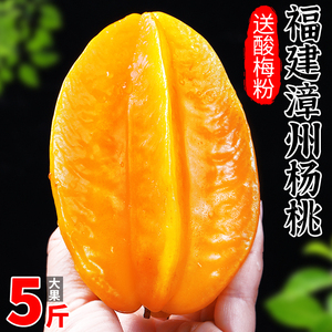 福建漳州甜杨桃5斤整箱洋桃应当季新鲜水果红扬桃五角星阳桃包邮