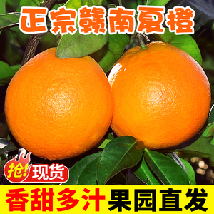 正宗赣南夏橙10斤橙子应当季水果新鲜现摘赣州果冻橙冰糖甜橙包邮