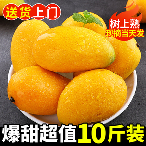 云南台农芒果10斤新鲜小台芒当季热带水果现摘甜芒果正宗特产整箱
