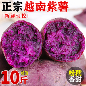 新鲜越南紫薯10斤正宗珍珠板栗当季农家自种现挖粉糯香甜特级番薯