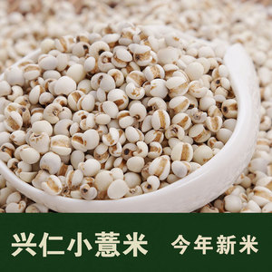 小粒薏米 贵州兴仁薏米仁 薏苡仁 薏仁米配红豆 五谷杂粮500g