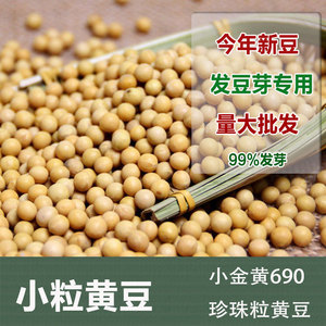 东北小粒黄豆500g 极小粒珍珠豆老品种大豆纳豆发豆芽豆小金黄690