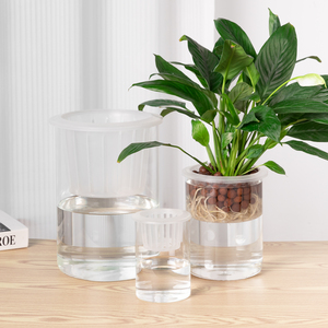 水培玻璃花盆简约家用透明直筒圆柱花瓶绿萝白掌水养植物大号容器
