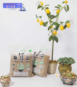 汇峰配多肉 韩国进口山野秘方草土绿植花肥营搭多肉48007专用颗粒