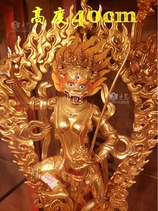 尼泊尔狮面佛母全鎏金铜佛像狮面空行母 狮头金刚 释迦族高度40cm