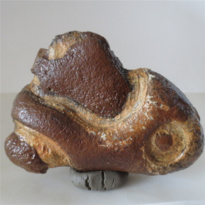 13640  374g 埃及古磐石奇石天然眼睛石观赏象形石戈壁沙漠漆