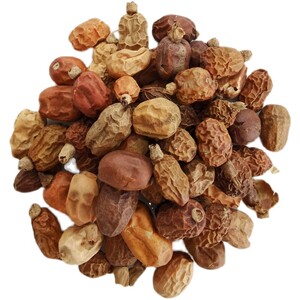 红豆蔻 500克优质 足干煲汤 卤料 明子的磨坊