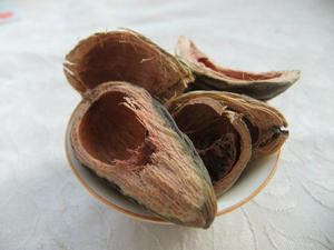 槟榔壳 3.8元/斤 5斤装 色青 槟榔干 槟榔果 明子的磨坊