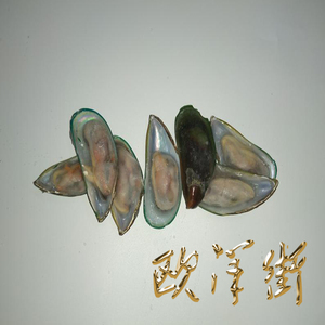 半壳小青口贝4kg蓝口贝贝壳青口贝含保鲜冰层 速冻生制品冷冻保存