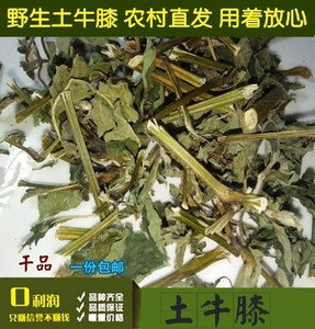 野生土牛膝中草药材紫牛膝倒扣草倒钩草牛七 牛漆接骨丹500克包邮