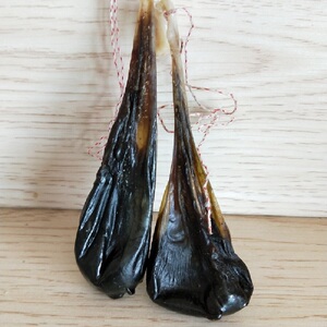 中药材猪苦胆干农家猪自然阴干整个猪苦胆干猪胆粉一枚 2份个包邮