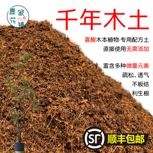千年木土盆栽种植千年木专用土酸性土壤沙性土花泥通用营养土花肥