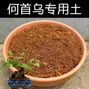 何首乌专用土配方营养土盆栽何首乌土酸性土家用种植土壤花泥花肥