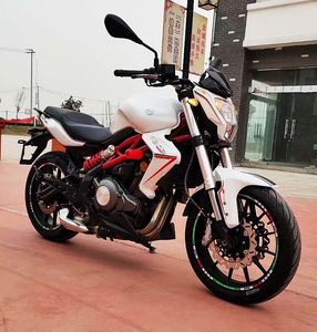 钱江贝纳利300摩托车黄龙bn60街车金鹏502跑车四缸大排量重机车