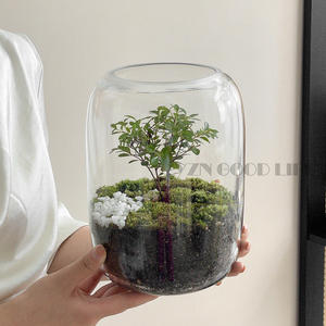 生态瓶玻璃透明苔藓创意微景观桌面盆栽青苔造景缸植物办公室摆件