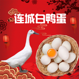 连城白鸭蛋白鹜鸭鸭蛋40枚 连城白鸭鸭蛋 新鲜农家散养鸭鸭蛋