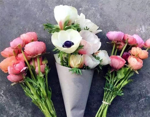 小清新各色银莲花十支一束全店任意2束顺丰航空其他物流可以优惠