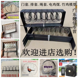 观赏竹鸡笼养殖竹鸡斑鸠白面水鸡鹧鸪毛鸡鸟笼工具全套网罩笼套子