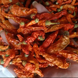 云南野生特辣特香 小米椒红小米辣 德宏干辣椒100克 特辣