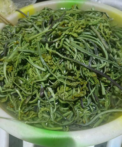 云南德宏 山货 凉拌水蕨菜节菜 酸辣爽口新鲜蕨菜制作 500g