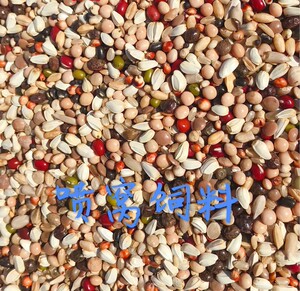 北京天友万家鸽粮(喷窝特级)鸽子粮信赛鸽幼鸽饲料2.5公斤分装