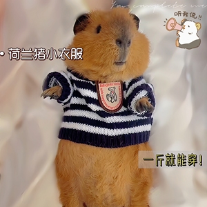 荷兰猪衣服专用小宠物秋冬季保暖毛衣超小号貂龙猫侏儒兔松鼠豚鼠