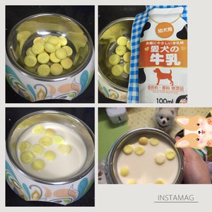 仓鼠自制零食