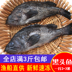 新鲜黑头鱼一斤2-3条野生海鱼 豆腐鱼鲜活海鲜鱼类海捕大石斑鱼