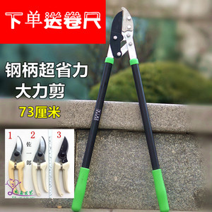 园林工具剪修花家用园艺剪刀佐一郎小型大力修草植树果树盆景实用