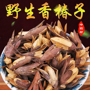 野生新货 香椿树果实 香铃子 香椿籽 香椿树果 椿树中药材500g