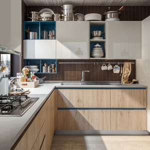 进口爱格门板现代简约整体厨房橱柜台面定做经济型 厨柜全屋定制