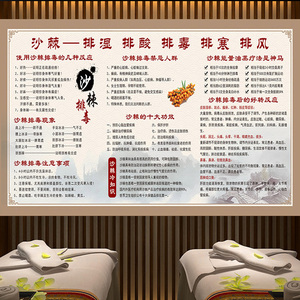 沙棘排毒疗法理疗店广告背景墙壁画中医养生馆装饰画宣传海报定制
