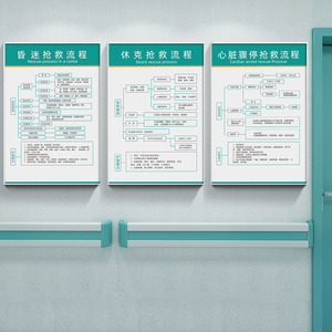医院急救步骤心脏骤停休克抢救流程图海报挂图药物过敏抢救流程图