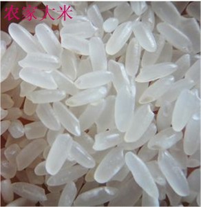 热河米清香扑鼻鱼台大米 优质大米新米500克10件包邮