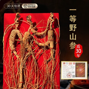 【顺丰速运】长白山人参30年一等野山参带证书高端送礼长辈礼品