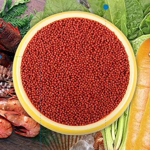 金鱼饲料鱼食锦鲤鱼粮鱼料观赏鱼食散装袋装小型冷水鱼鱼食颗粒