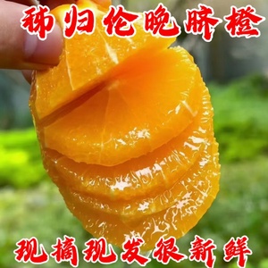 时令水果当季新鲜橙子10斤大果整箱包邮伦晚橙子湖北宜昌秭归脐橙