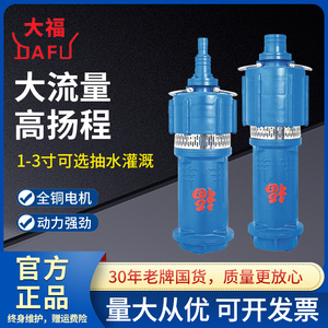 中国浙江大福QD小老鼠多级农用工业大流量高扬程220V/380V潜水泵