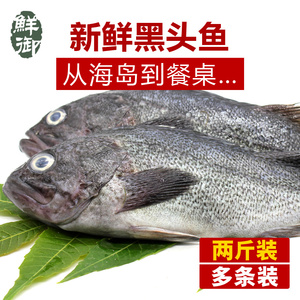 鲜御 烟台新鲜现捞海鱼 黑头鱼 豆腐鱼鲜活海鲜 鱼类2斤装 顺丰