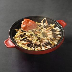 日式双耳红色陶瓷砂锅煲饭店煲仔饭煲汤高级耐热砂锅创意酒店餐具