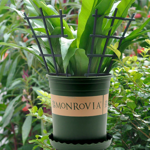 包邮绿萝爬藤架子花支架室内外花卉绿植支撑杆铁线莲月季攀爬花架