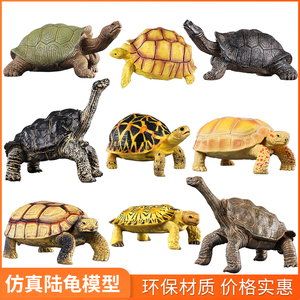 仿真动物模型陆龟玩具加拉帕戈斯象龟两栖塑料儿童科教认知摆件